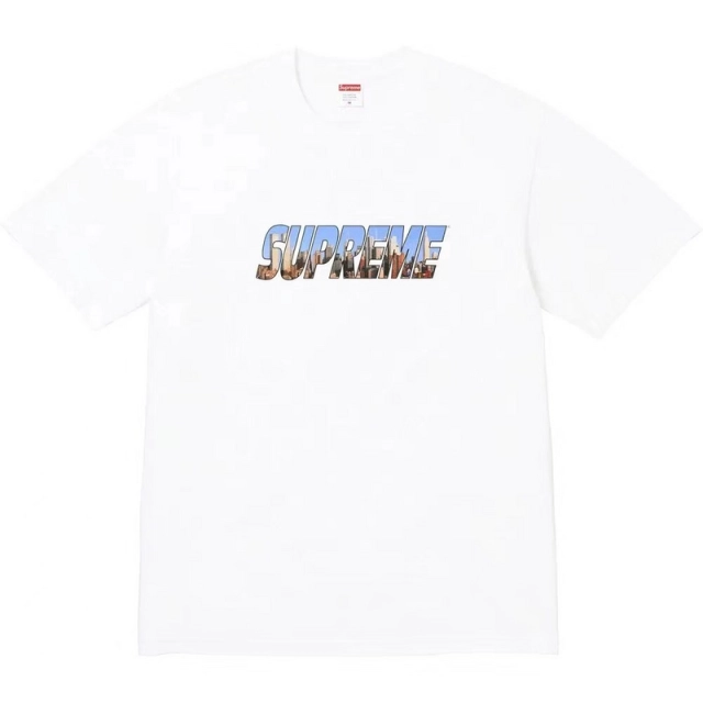 Supreme GOTHAM TEE