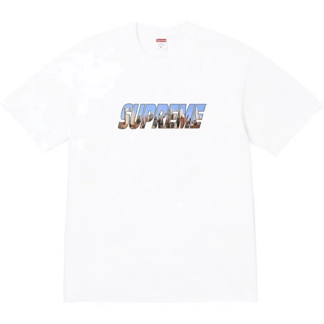 Supreme GOTHAM TEE