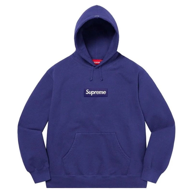 Supreme 21FW Box Logo Hooded Sweatshirt