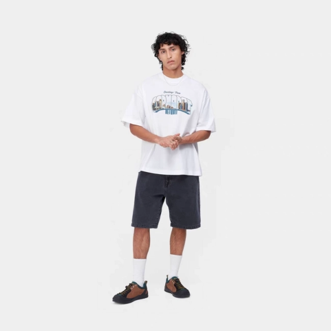 Carhartt WIP S/S GREETINGS T-shirt