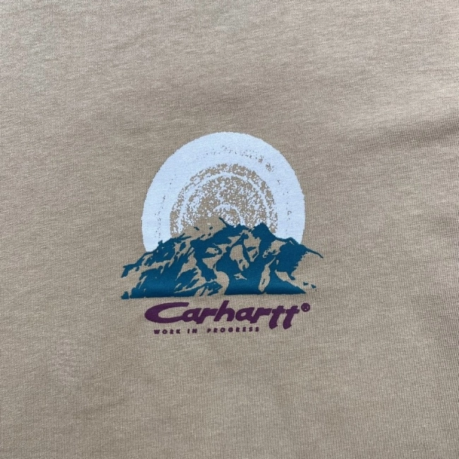 Carhartt T-shirt