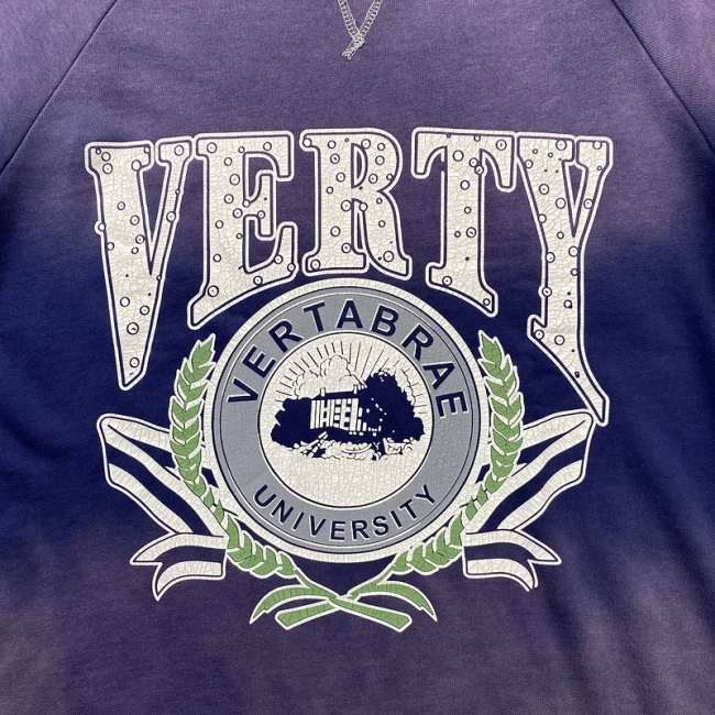 VERTABRAE University T-shirt